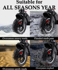 10 Inch 10x2.75-6.5 Off-road Rubber Outer Tire with Inner Tube Suitable for Speedway 5 Dualtron 3 all-season terrain use