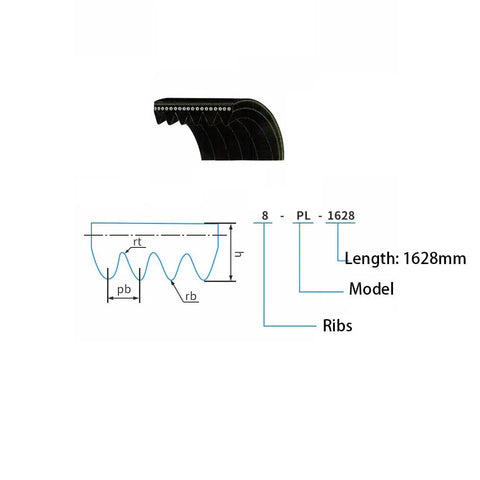 Ribbed Rubber Drive Belt For Industrial Machinery, 8 To 11 Rib, PL1205 Series Compatible, with diagram and dimensions