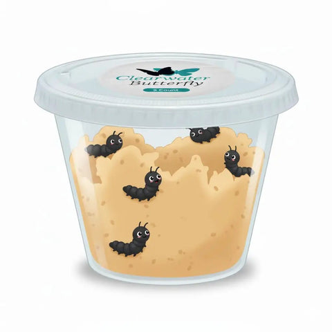 Watch Five Live Painted Lady Caterpillars Transform Into Butterflies With This Hands On Butterfly Garden Kit For Kids And Families, Includes Observation Timeline And Simple Care Tips. Clear plastic cup with 5 caterpillars and food