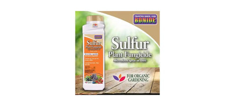 Sulfur Plant Fungicide Ready To Use 1 Pound bottle showing product label for organic rust, leaf spot, powdery mildew control