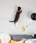 Cat climbing wall near Clear Light Switch Guard 6 Pack Childproof Toggle Switch Cover To Prevent Accidental On Off Fits Standard Switches