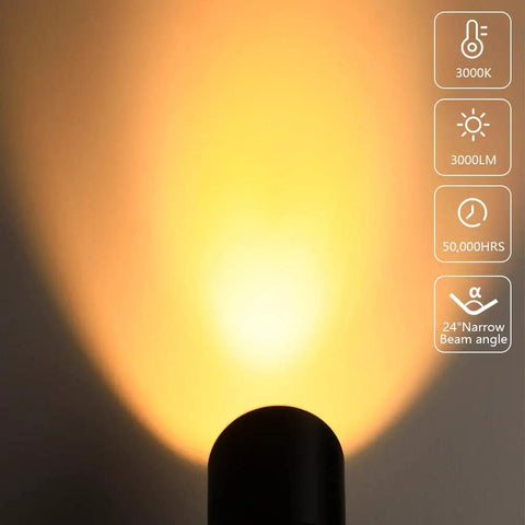 30W LED Landscape Spotlight 12V Low-Voltage Outdoor Lighting, 3000K Warm White, spotlight beam with specifications displayed