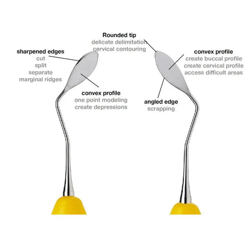 Precision Dental Resin Filling Spatula Set With Smooth Operator Build For Flawless Composite Application And Quick Detailing Featuring No Sweat Cleanup And Built Different Durability, showing dual stainless tools.