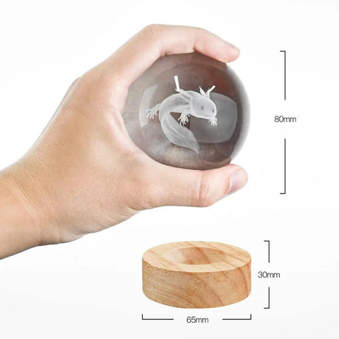 Hand holding Lit 3D Axolotl Crystal Ball Night Light with Wooden Base, showing dimensions of glass ball and wooden stand