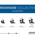 Brookside Outdoor Wall Light Black Finish, 10 Inch Wide By 10.75 Inch Tall Exterior Fixture, weatherproof, collection display