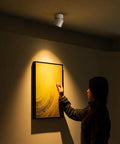 4 Pack LED COB Adjustable Ceiling Spotlight Surface Mounted 7W 3000K Warm White Aluminum Spotlight highlighting artwork on wall