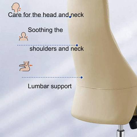 Super Comfy Ergonomic Office Chair Executive Swivel Seat With High Back Support showing lumbar and neck support features.