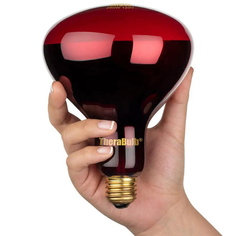 Hand holding Near Infrared Red Light Therapy Bulb 250W 120V NIR A for Home Wellness E26 Base RoHS CE Certified