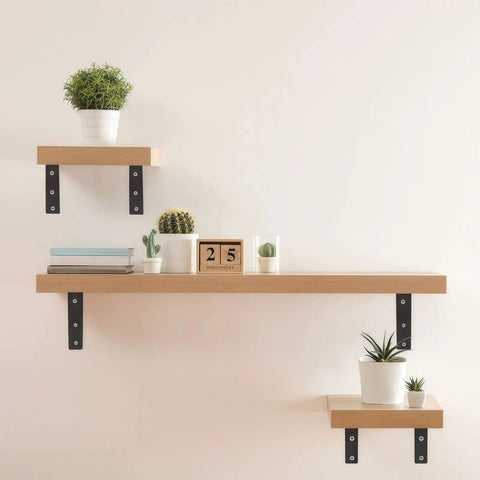 Badass Heavy Duty Floating Shelf Brackets 6 Pack Black Industrial Metal L Brackets support wood shelves with plants.