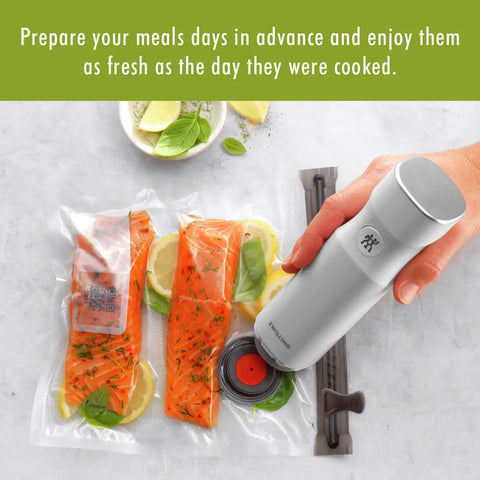 Heavy Duty Bpa Free Vacuum Sealer Bags Assorted Sizes 20 Piece with salmon, lemon, and herbs for sous vide cooking.