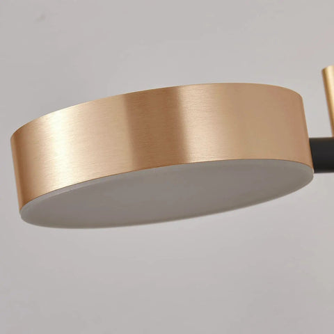Close-up of Two In One Plug In Or Hardwired Industrial Gold Brass Wall Sconces With Adjustable Metal Arm Dual Pack fixture detail