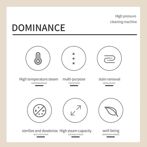 Icons and text describing features of a high pressure cleaning machine, including high temperature steam and multi-purpose use.
