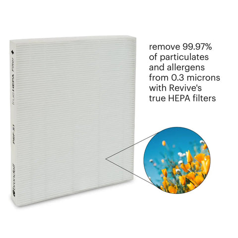 Air Purifier Replacement Filters For Revive 1 Year Standard Pack with focus on true HEPA filter trapping allergens