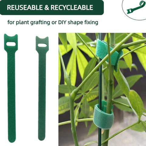 Green Reusable 100 Pack 6 Inch Adjustable Anti Slip Nylon Plant Ties With Hook And Loop Fasteners securing plant stems.