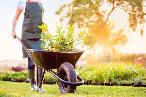 Person using wheelbarrow with No Flat Universal Fit Wheelbarrow Tire And Wheel Assembly With Adapter Kit 14.5 Inch.