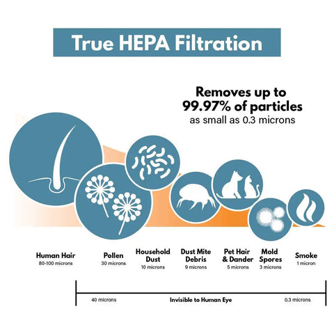 Infographic showing HEPA filtration capturing human hair, pollen, dust, pet dander, mold, and smoke particles as small as 0.3 microns.