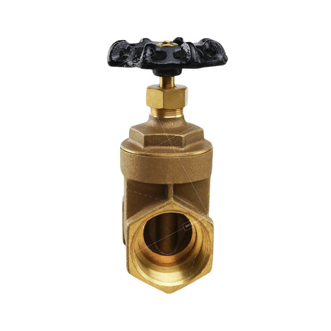 Gate valve front view: brass lead-free body with wheel handle and 2 in FIP connections