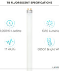 Image of 30 Pack F17T8 Fluorescent Tube Light Bulbs 24 Inch 17W 5000K Bright White, 1350 Lumens, G13 Medium Bi Pin Base with specs.