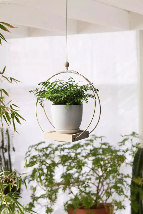 Golden Macrame Hanging Planter For Indoor Outdoor Plants With Wood Stand, fern in ceramic pot inside iron ring in bright room.