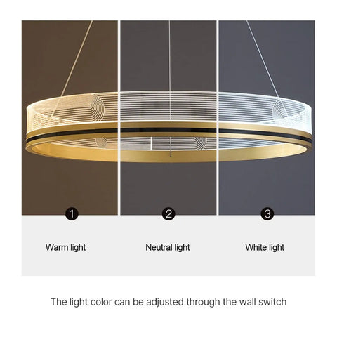 LED s LED Pendant Lights Modern Acrylic Creative Ceiling Pendant Lamp Ring with adjustable warm, neutral, and white light options.