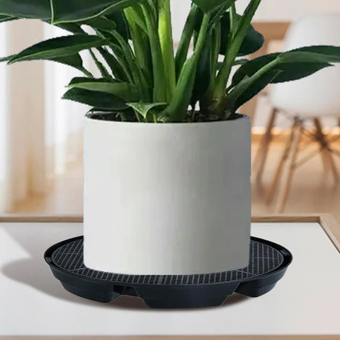Automatic Irrigation Planter Base Pro Grade With Self Watering Pot Tray System under indoor pot on wooden table