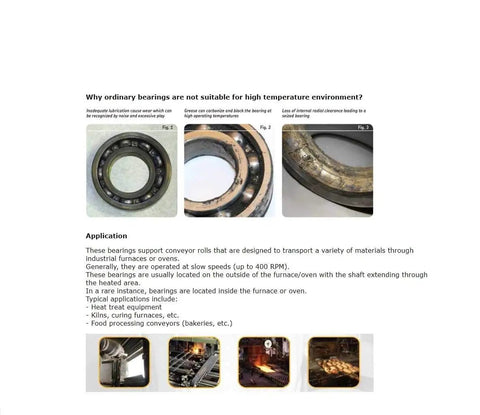 Comparison of regular bearings and high temperature capabilities for conveyor rolls in industrial applications.