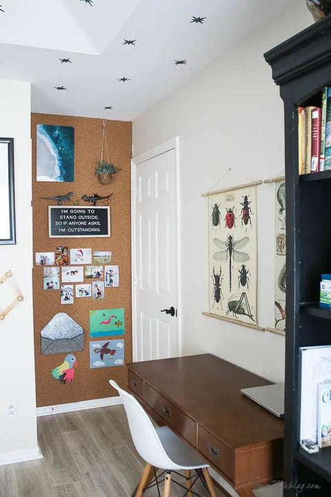 Premium Natural Cork Roll Four Feet By Twenty Four Feet Long Half Inch Thick used as a bulletin board in an office space.