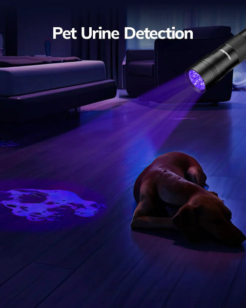 Ultraviolet Blacklight Flashlight Set Of 2 With 12 LED 395nm UV Light for pet pee detection showing a stain on the floor