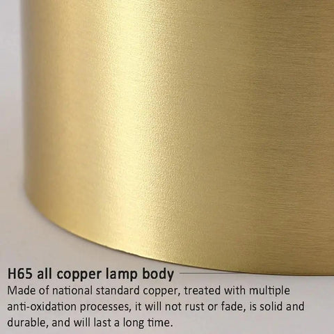 Close-up of H65 all copper lamp body texture for 8 Pack Brass Trim Retrofit LED Recessed Lighting Tough As Nails.