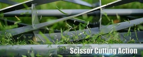 Close-up of scissor cutting action on grass using 16-Inch 7-Blade Push Reel Lawn Mower With Ball Bearing Reel And 10-Inch Composite Wheels Durable Steel Side Plate Hand Push Design For Bermuda Zoysia Centipede St Augustine And Seashore Paspalum Lawns