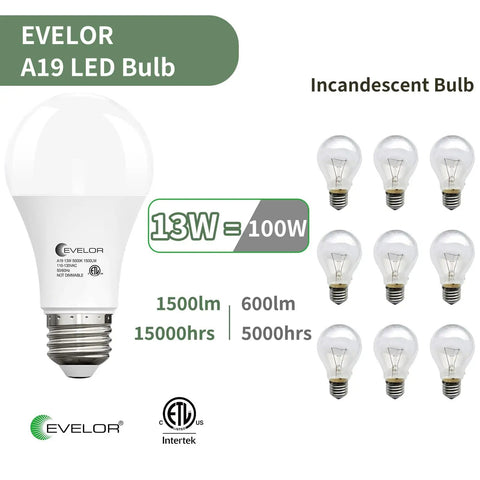 6-Pack A19 LED Light Bulbs That Do 100W Equivalent Daylight 5000K Brightness, Super Efficient 13W, 1500 Lumens, E26 Base