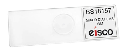 Ten Pack Mixed Diatoms Wholemount Prepared Microscope Slides Classroom Set With Durable Storage Case For Biology Education And Classroom Ready Hands On Microscopy Experiments For Students And Labs, labeled slide