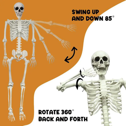 5.9-Foot Life-Size Poseable Skeleton For Halloween Decor showing movable joints and arm rotation angles