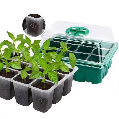 Three Pack Garden Propagator Germination Set with adjustable humidity dome, 12 cells per tray, featuring growing seedlings.