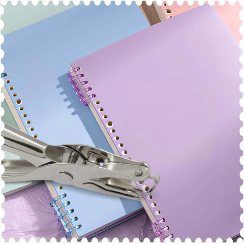 One Eighth Inch Hole Puncher 3mm Metal Paper Punch Tiny Circle Single Hole Punch Tool on pastel notebooks