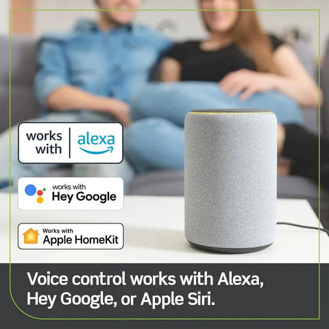 Smart WiFi Plug 2nd Gen For Home Automation No Hub Needed Plug And Play Works With Matter Alexa Google Assistant And Apple HomeKit Siri Easy Setup To Control Lamps And Small Appliances From Anywhere D215P-2RW White with voice control icons visible.