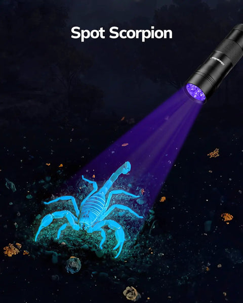 Ultraviolet Blacklight Flashlight Set Of 2 With 12 LED 395nm UV Light illuminating a glowing scorpion in the dark