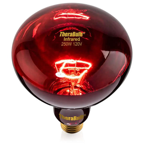 Near Infrared Red Light Therapy Bulb 250W 120V NIR A For Home Wellness E26 Base RoHS CE Certified High Power Infrared Lamp