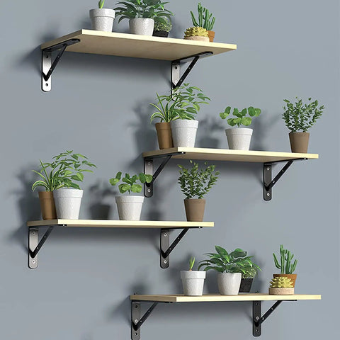 Rock Solid 10 Inch Shelf Brackets 6 Pack Heavy Duty L Bracket Supports For DIY Floating Shelves with plants on display.