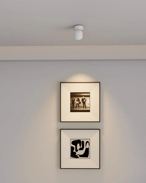 Dimmable LED Ceiling Spotlight Kit 2 Pack With 7W White Directional Accent Lights, illuminating art in living room.