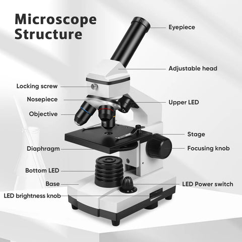 Diagram of All In One Compound Microscope Kit For Kids And Adults 100X To 2000X With Dual LED 4X 10X 40X objectives labeled parts
