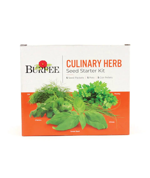 Box of Indoor Herb Garden Starter Kit With Five Seed Packets Cilantro Dill Parsley Sweet Basil And Chives Five Biodegradable Pots Coir Pellets And Plant Markers For Easy Windowsill Growing Non GMO Kid Friendly.