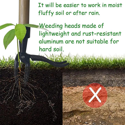Stand Up Weed Puller Replacement Head With 4 Claw Steel showing effective root removal in moist soil conditions