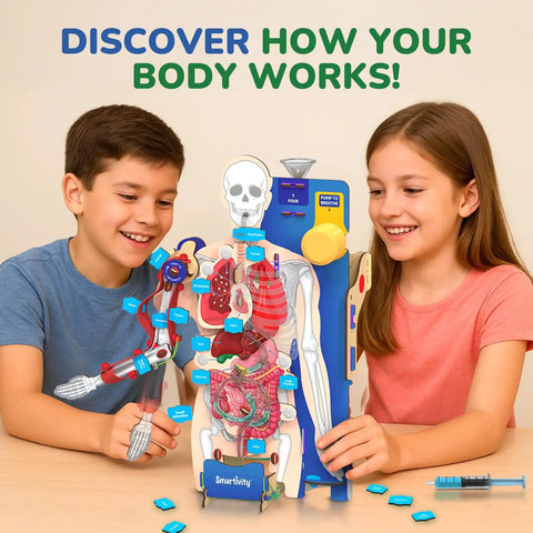 Children assembling Totally Hands On Anatomy Kit For Kids Aged Eight To Fourteen Buildable Human Body Model with labeled organs.