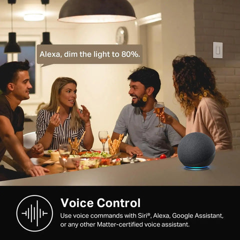 People using Smart Dimmer Switch For Single Pole Lights With Neutral Wire Required 2.4GHz WiFi Plays Nice With Alexa And Google Home