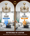 Gold Finish Caged Ceiling Fan With Light Remote Control Fandelier With Reversible Copper Motor 6 Speed Settings 18 Inch