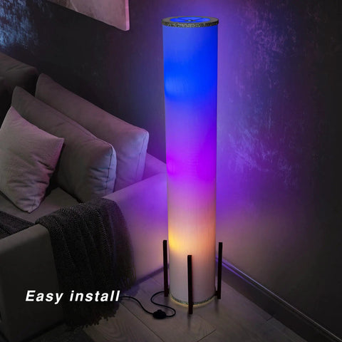 61 Inch RGB LED Floor Lamp With Remote Dimmer And Three Smart Bulbs Color Changing Modern Standing Lamp in living room