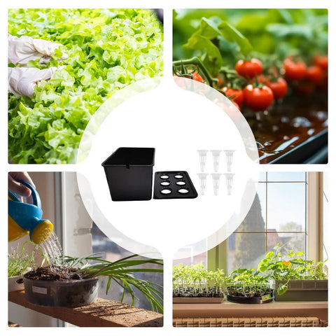 6 Hole Hydroponic Growing Box System for Vegetables Fruits and Flowers, indoor plants, water monitoring, compact design