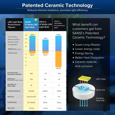 Infographic showing benefits of 6 Pack 100W Equivalent A19 LED Bulbs, Mega Bright 1600 Lumens, 5000K Daylight White, Ceramic Technology