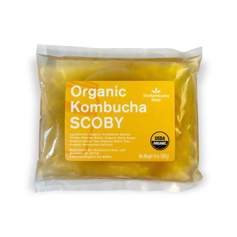 Close-up of 100 Percent Organic SCOBY Kombucha Starter Kit For Home Brew Sessions With Live Culture And Starter Liquid Ready To Brew